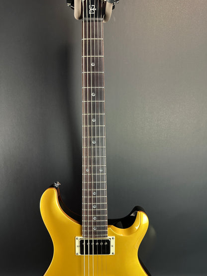 Fretboard of Used PRS SE DGT Gold Top.