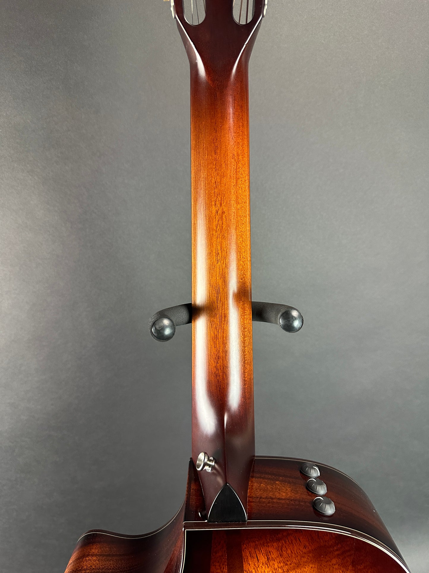 Back of neck of Used Taylor 512ce Ltd Koa/Cedar 12 Fret.