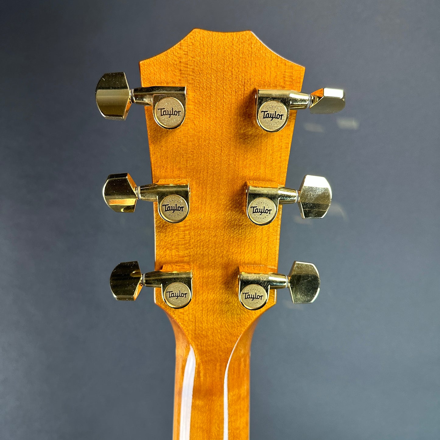 Back of headstock of Used 2006 Taylor GS Big Leaf Maple / Sitka Natural.