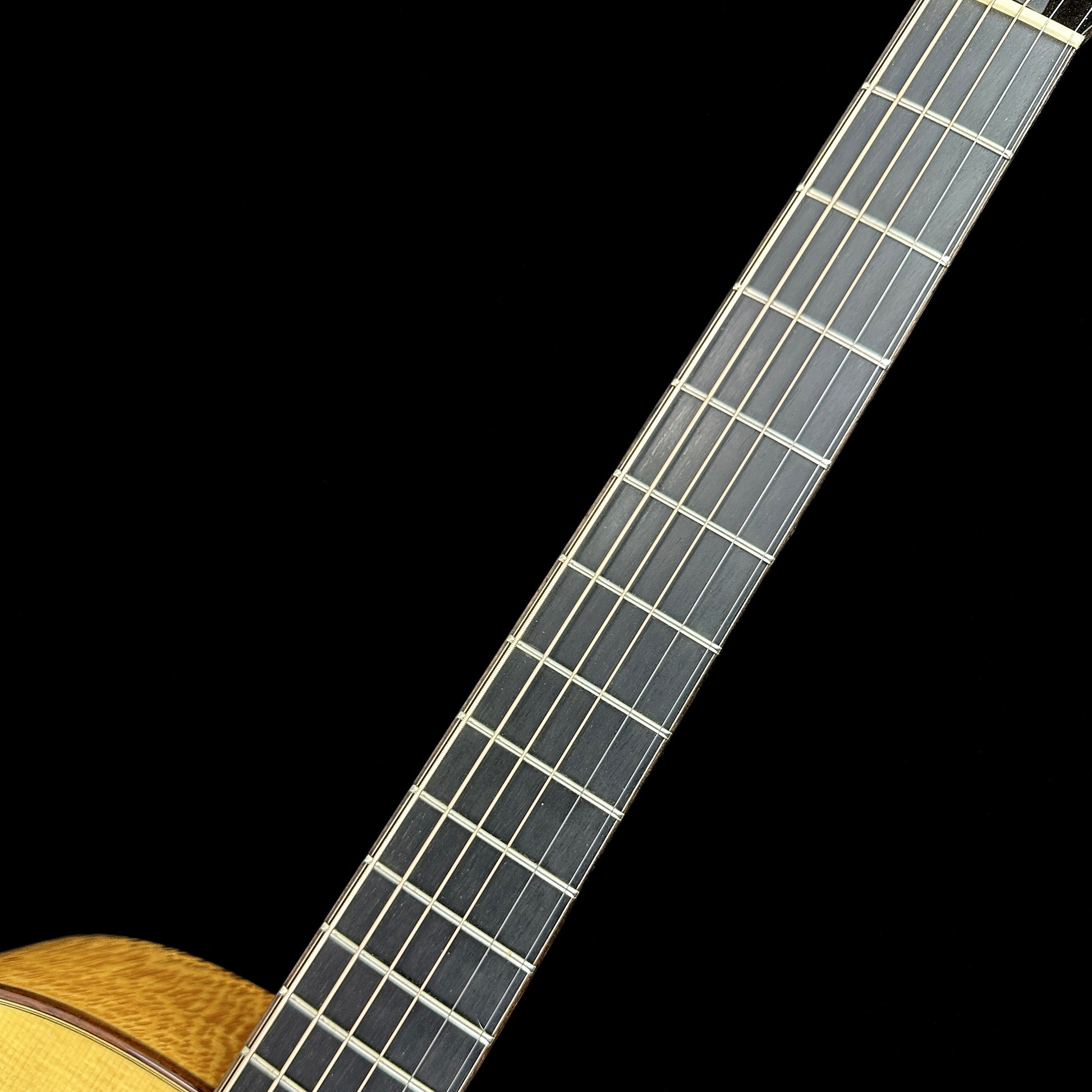 Fretboard of Used 2008 R. Taylor Style 1.