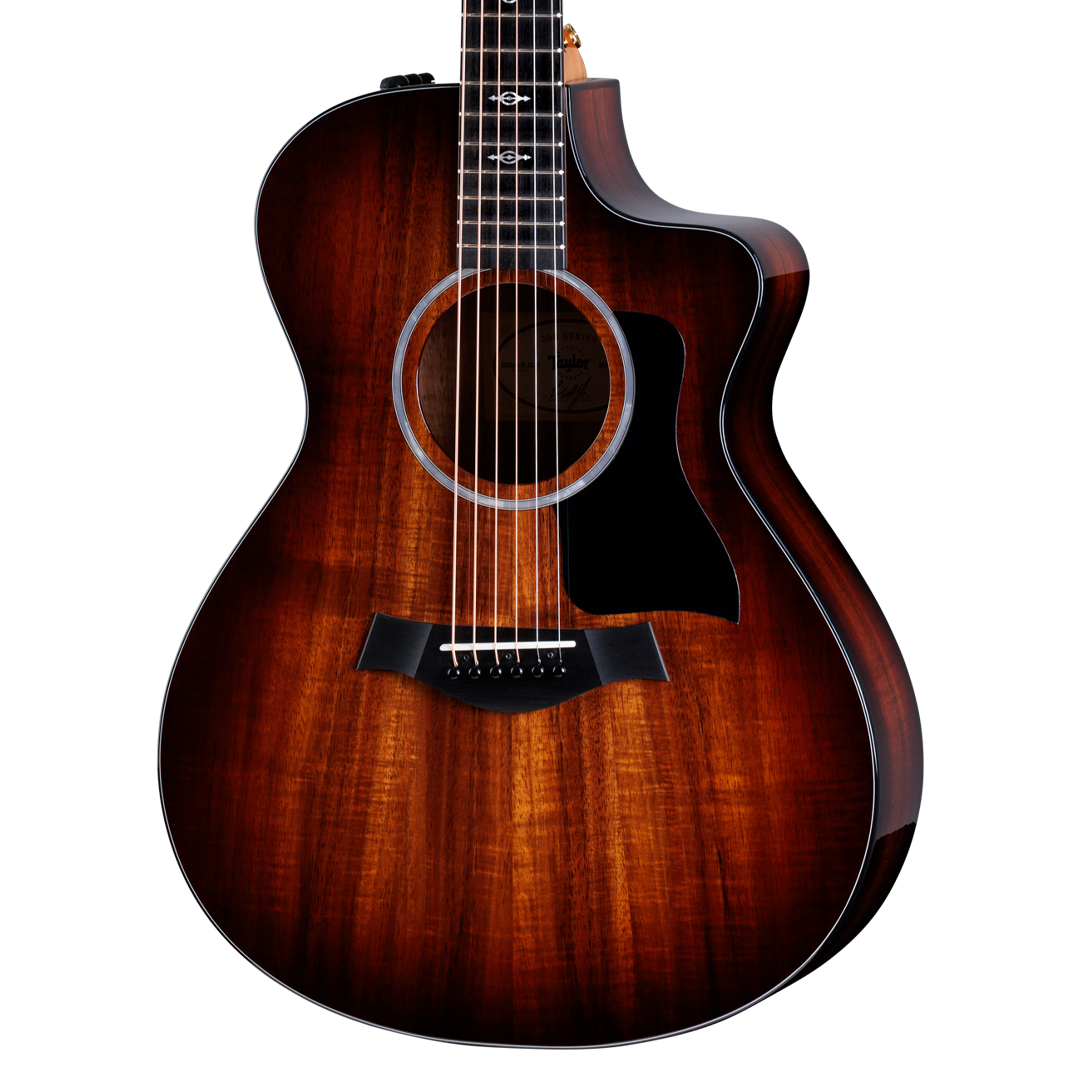 Closeup of Taylor 222ce-K DLX w/case
