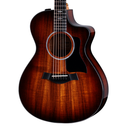 Closeup of Taylor 222ce-K DLX w/case
