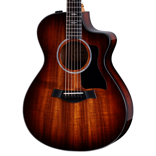 Closeup of Taylor 222ce-K DLX w/case
