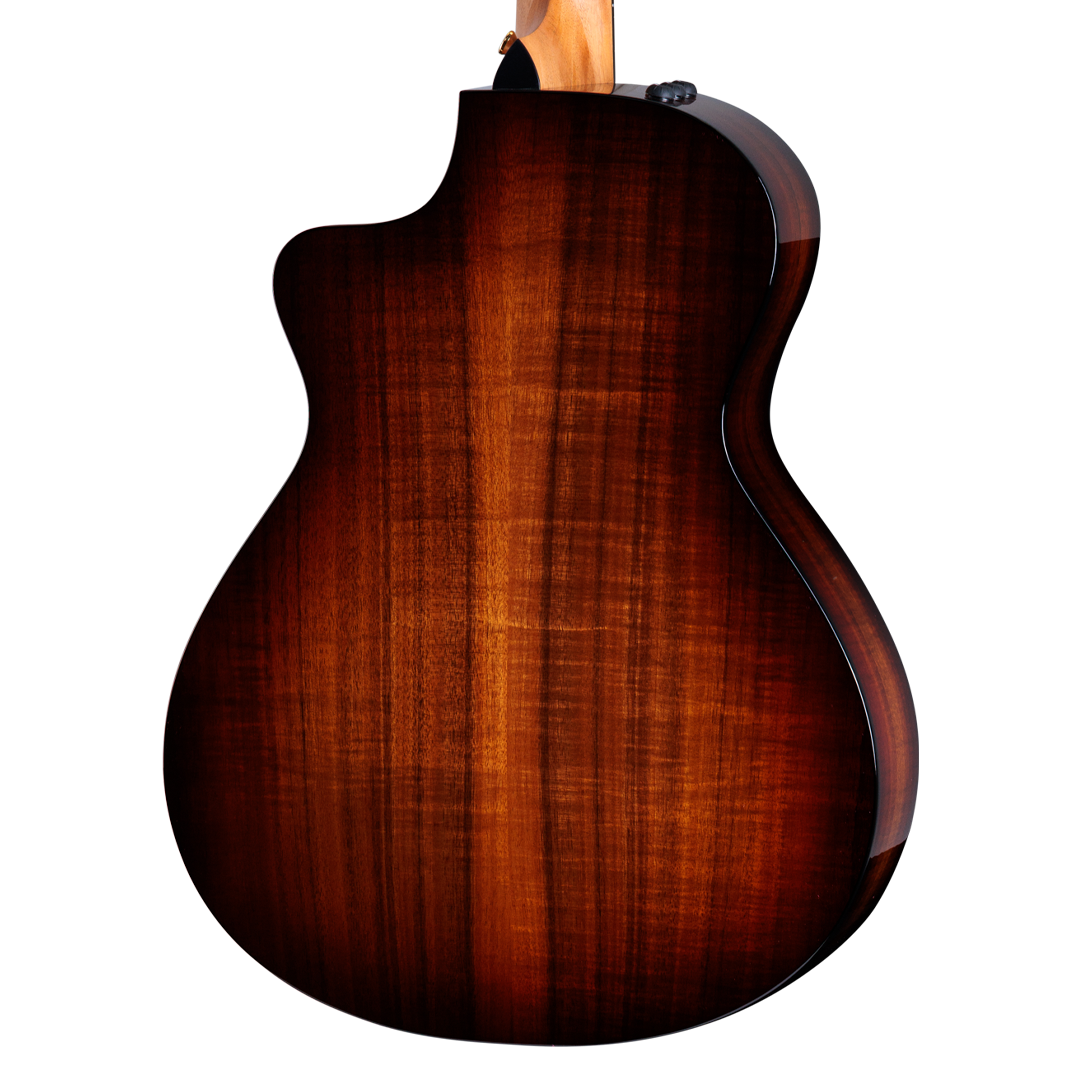 closeup of back of Taylor 222ce-K DLX w/case