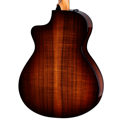 closeup of back of Taylor 222ce-K DLX w/case