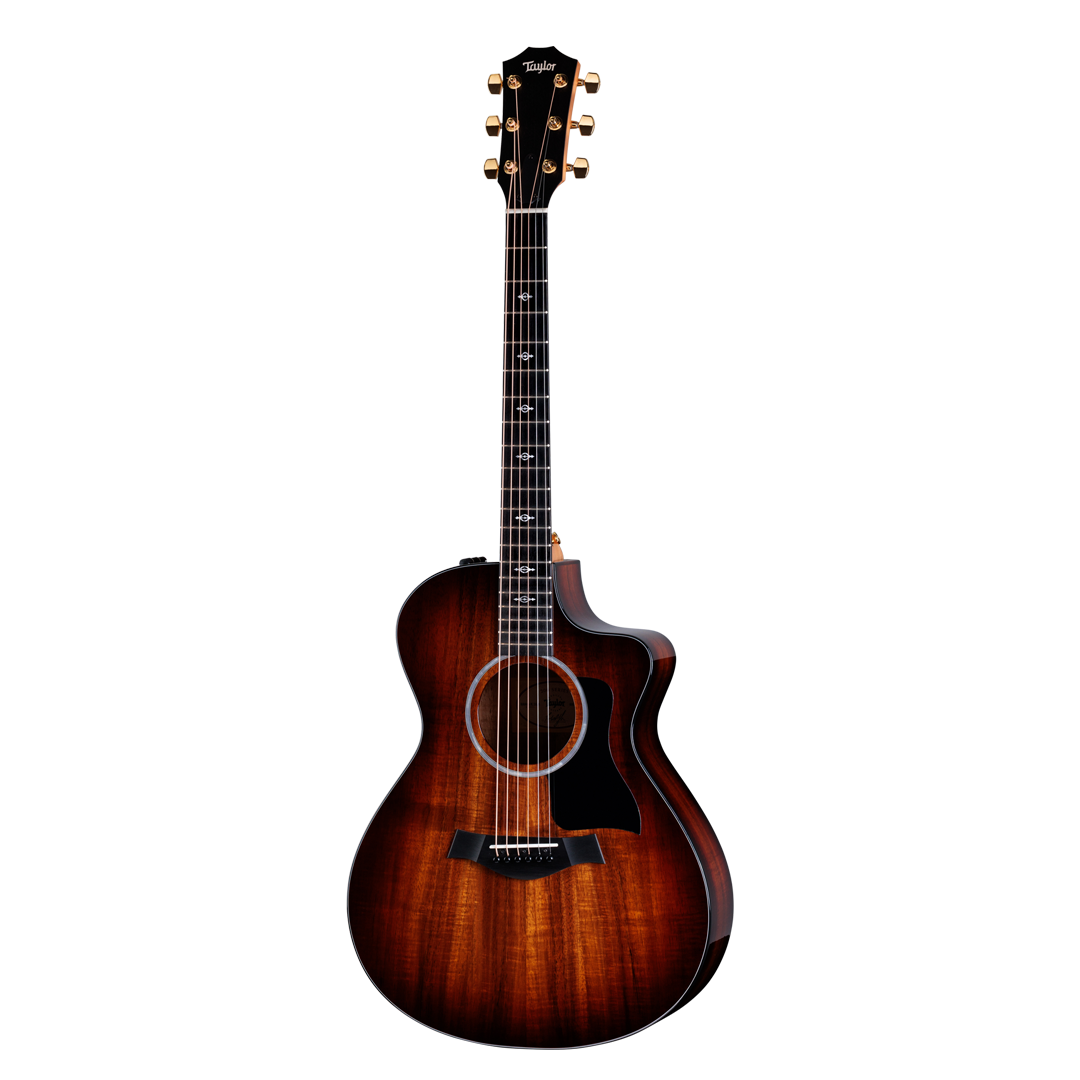 Full front shot of Taylor 222ce-K DLX w/case