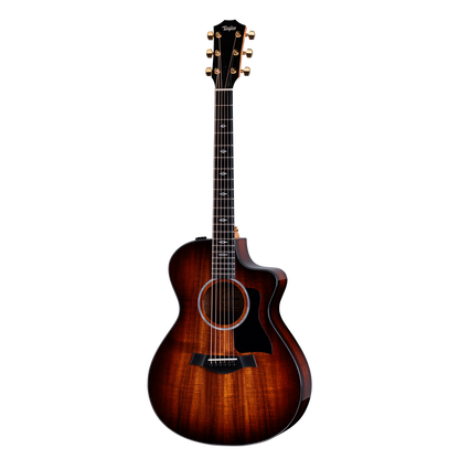 Full front shot of Taylor 222ce-K DLX w/case