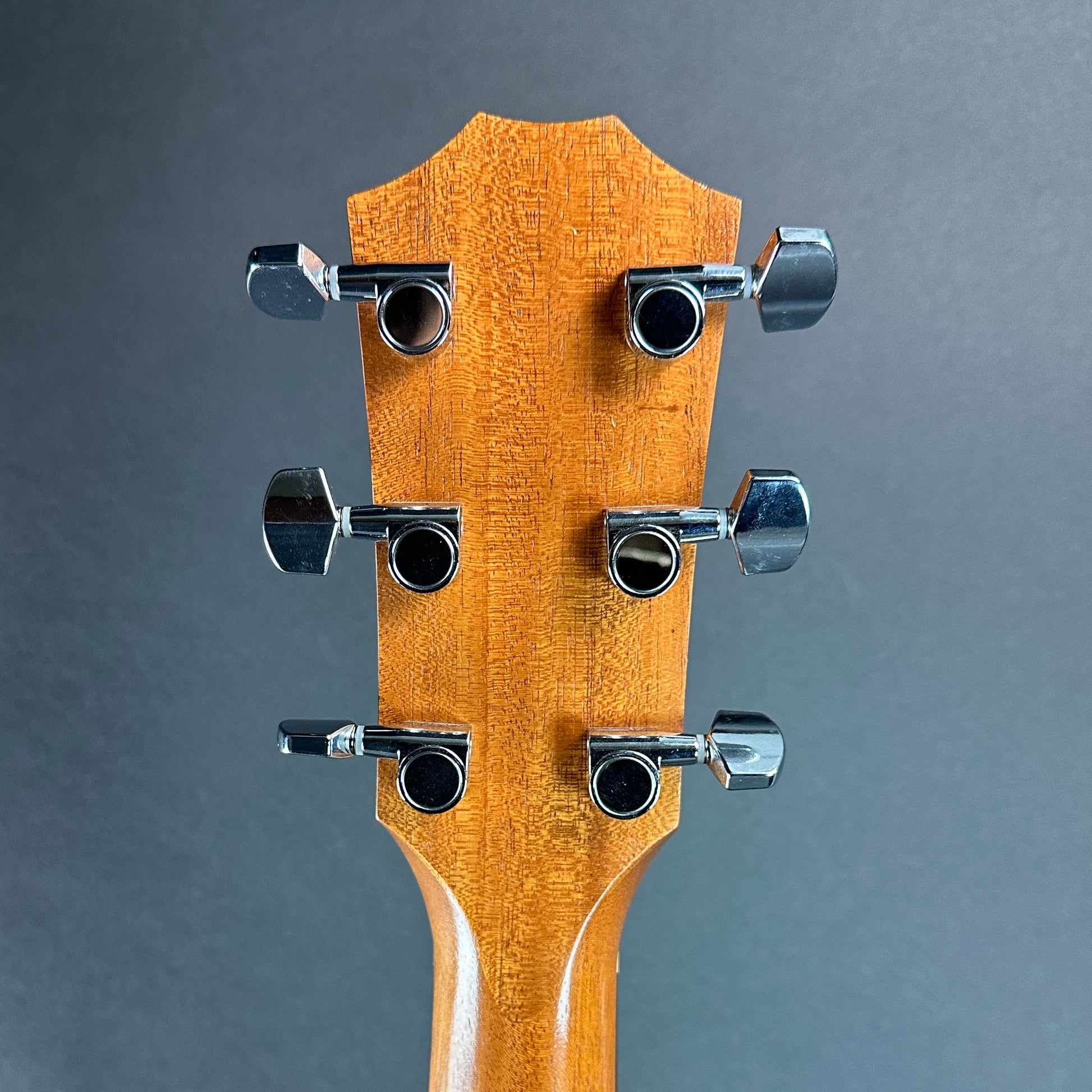 Back of headstock of Used Taylor 224ce-K DLX Shaded Edgeburst.