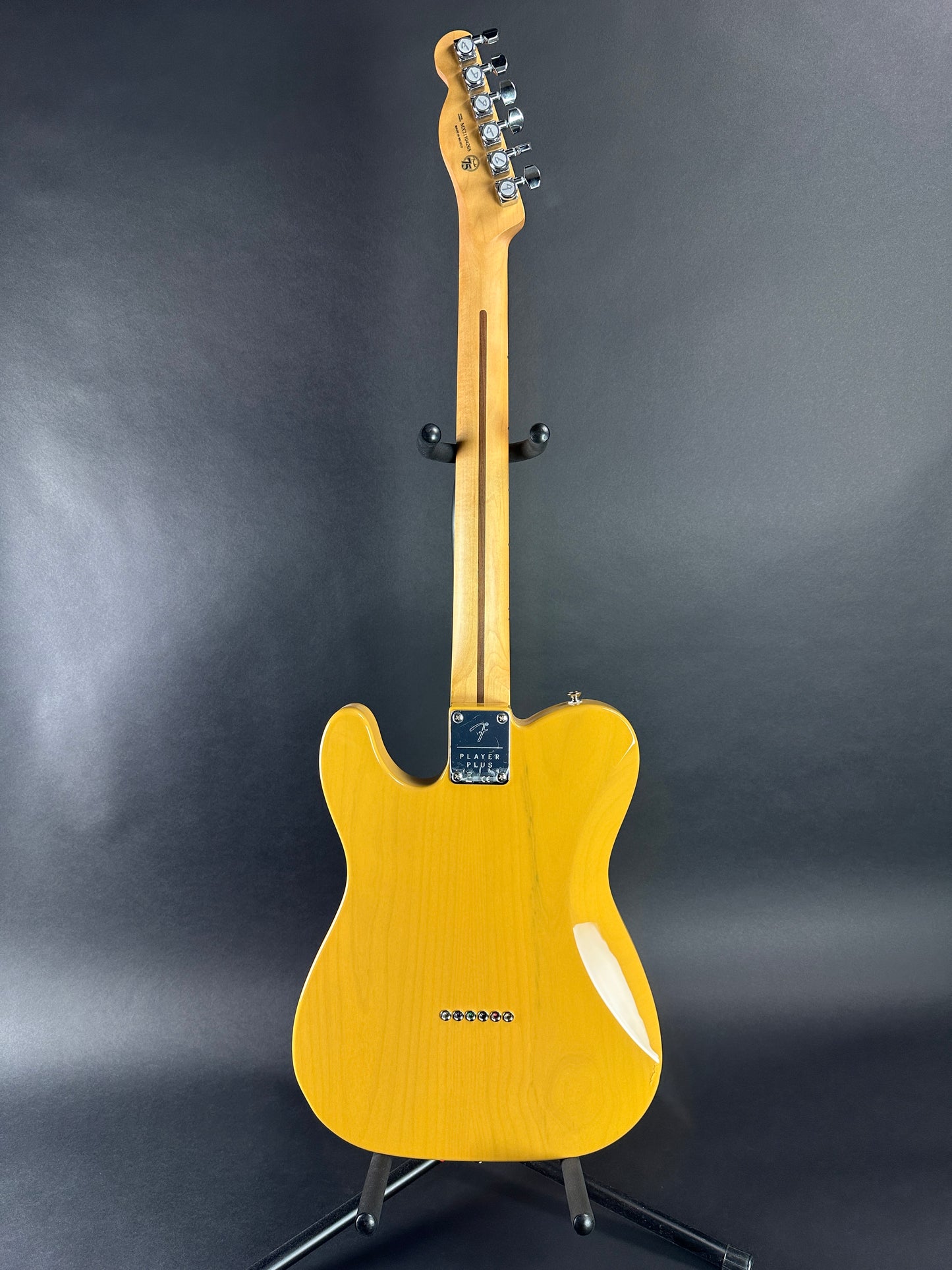 Full back shot of Used Fender Nashville Telecaster Butterscotch.