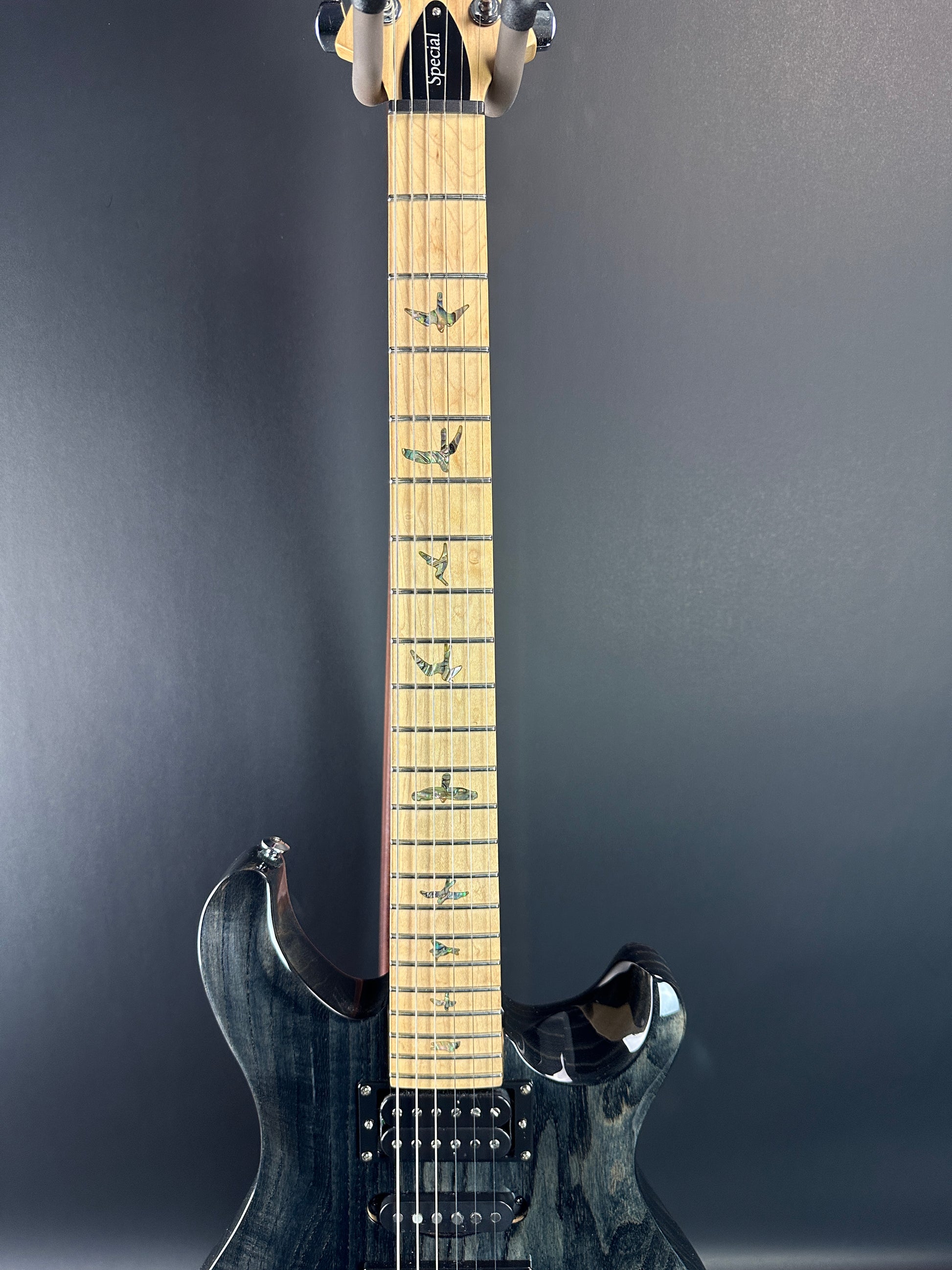 Fretboard of Used PRS SE Special Charcoal.