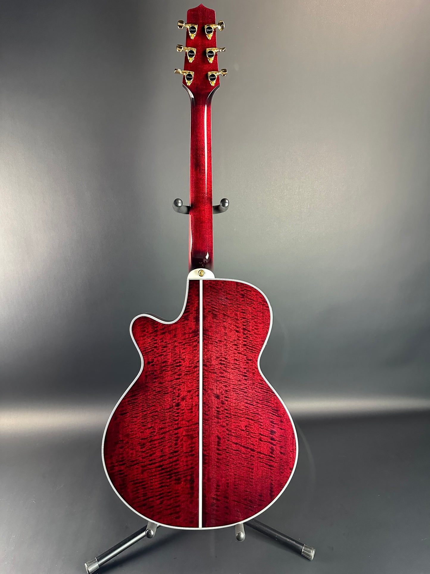 Full back of Used Takamine TSP158C Red.