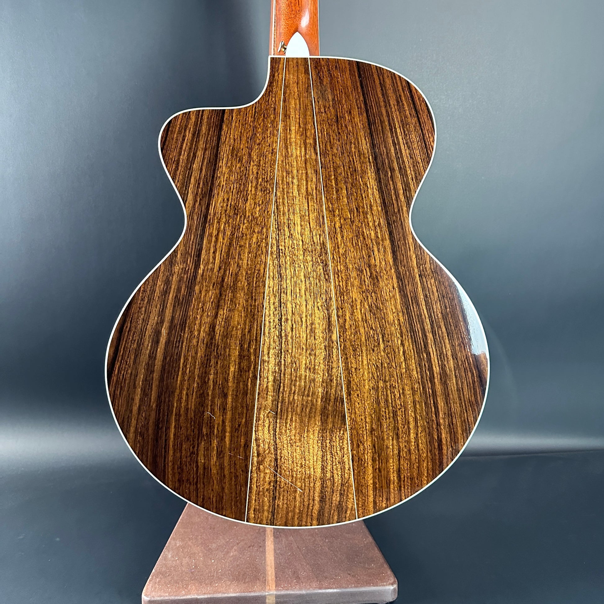 Back of Used Taylor 815ce.