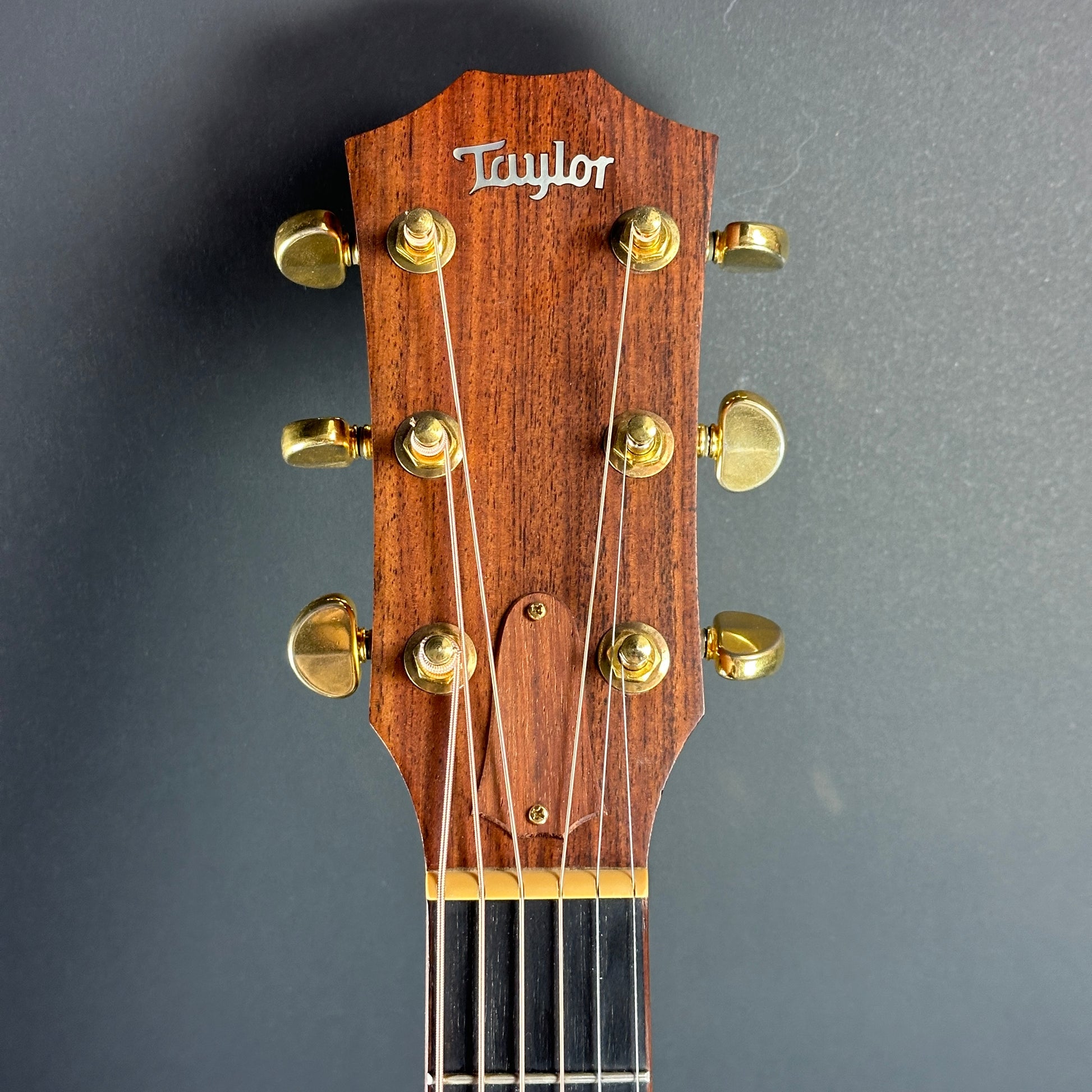 Front of headstock of Used Taylor 710.