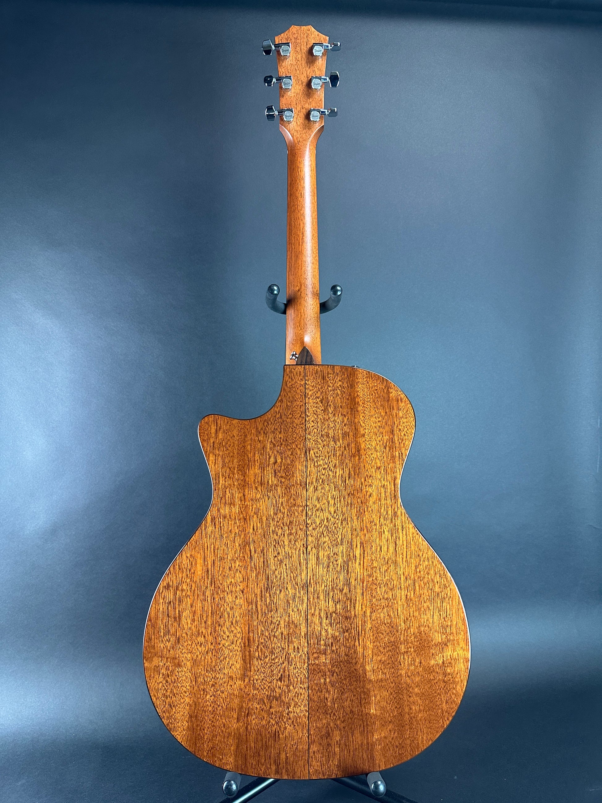 Full back of Used Taylor 514ce Natural.