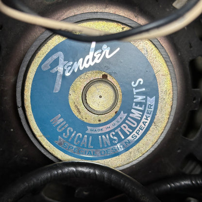 Speaker inside of Vintage 1975 Fender Princeton.