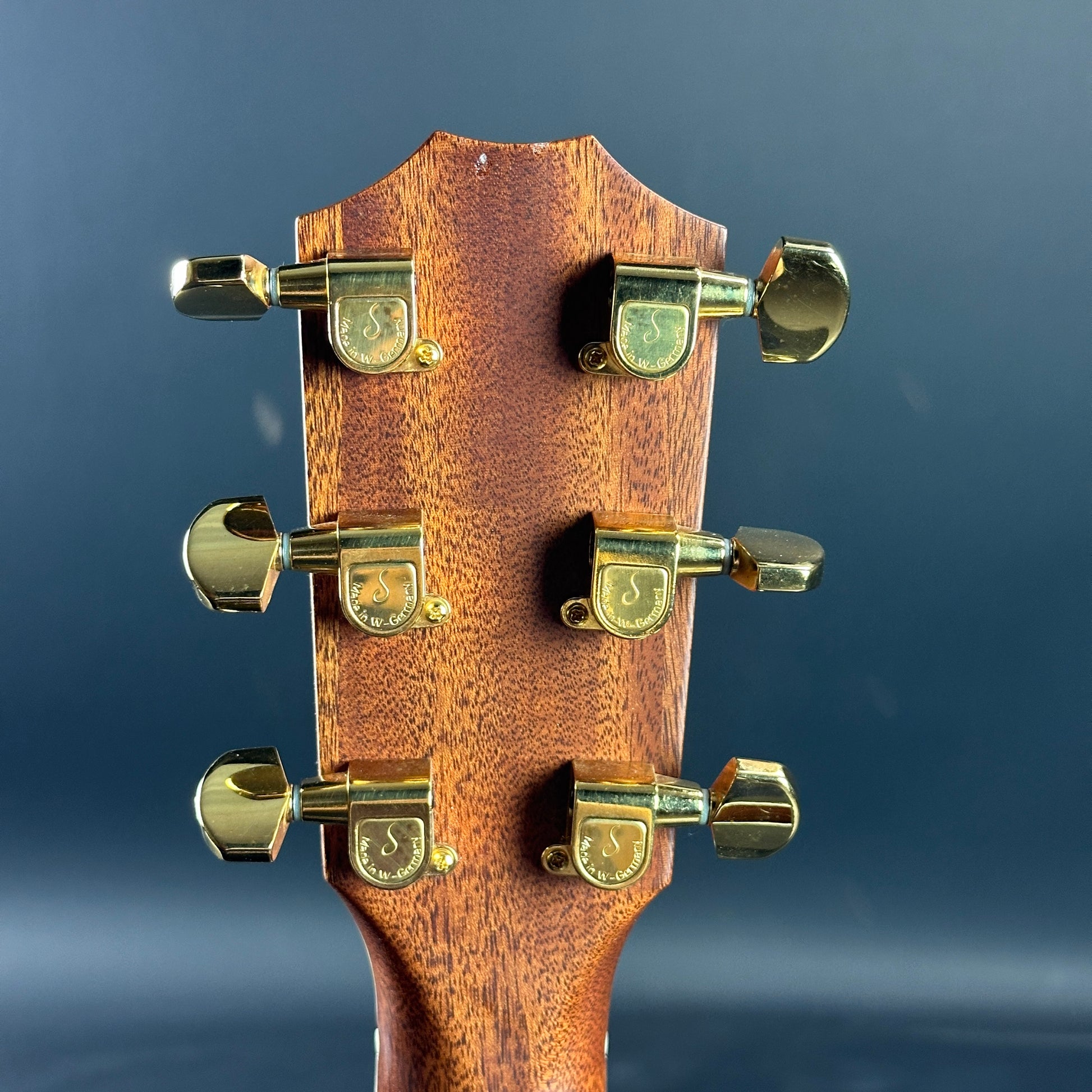 Back of headstock of Used 1992 Taylor 812c Florentine Cutaway.