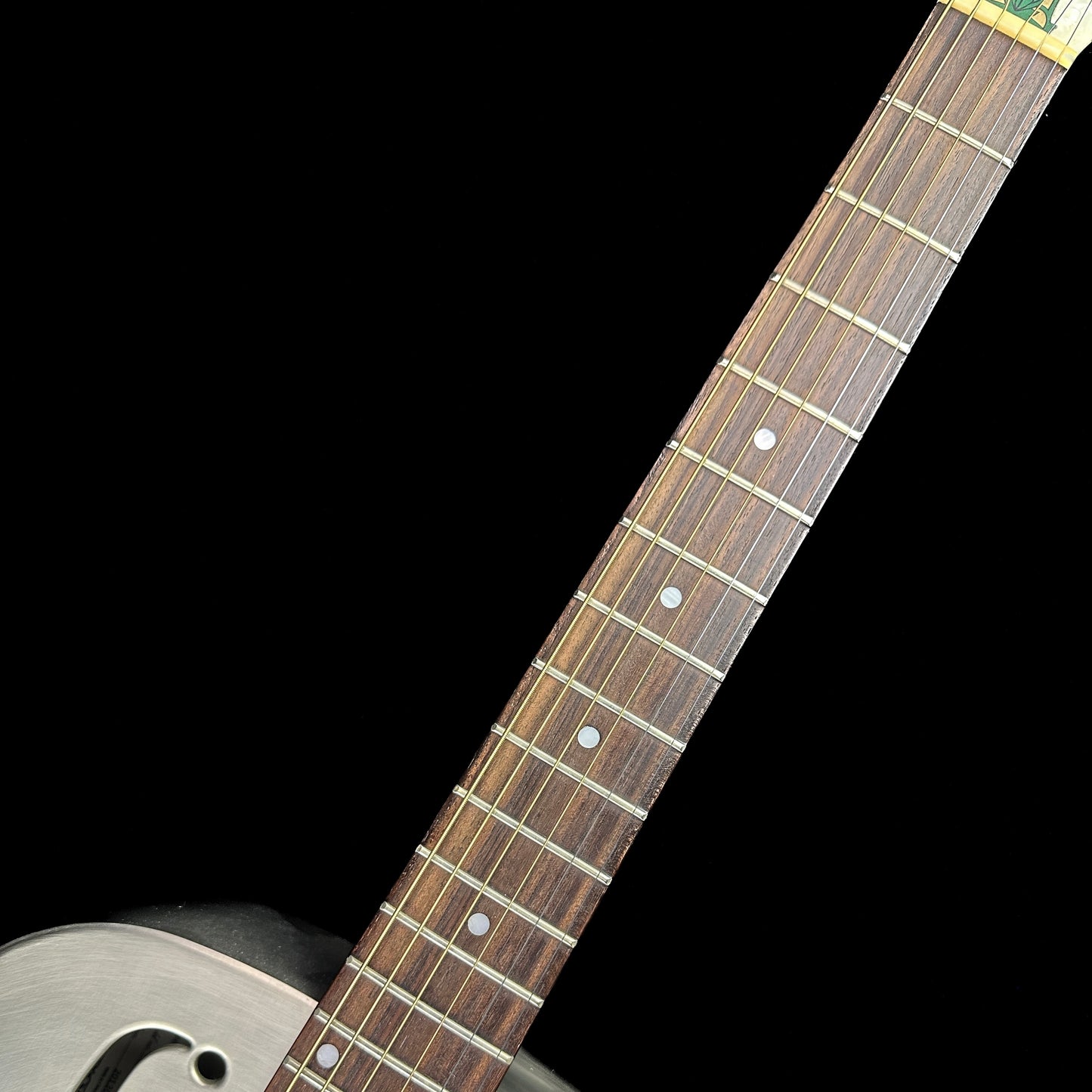 Fretboard of Used Regal Resonator RC-3.