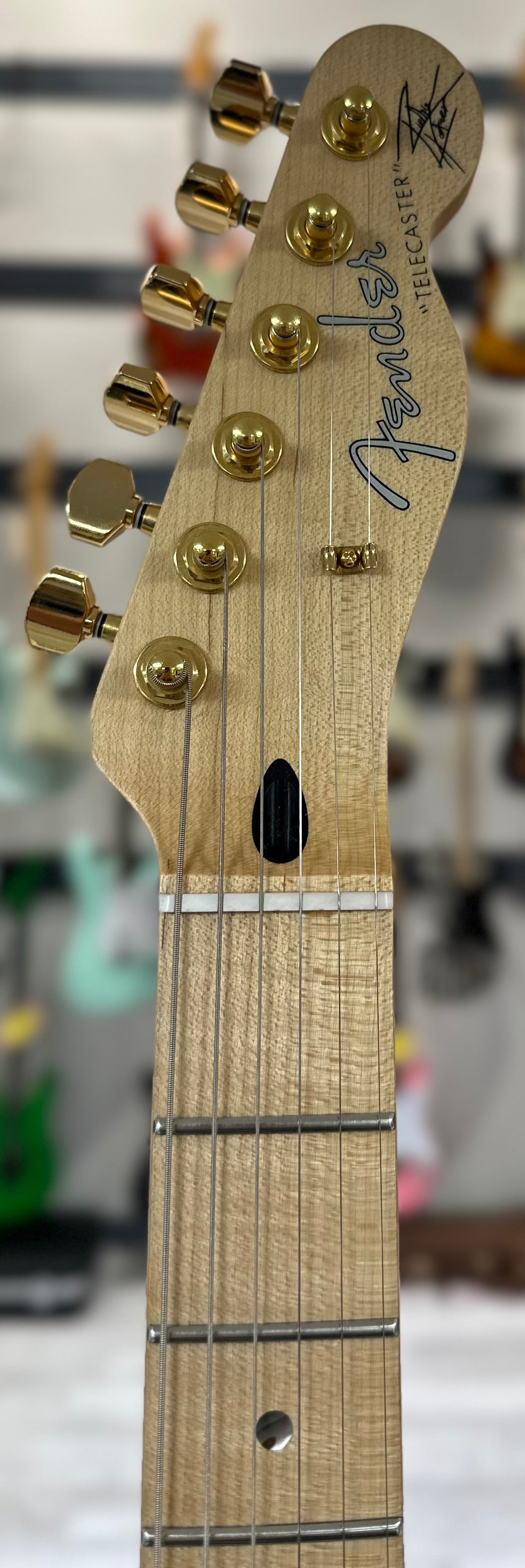 Headstock of Used 2017 Fender Richie Kotzen Signature Telecaster MIJ Sunburst w/case TSS4244