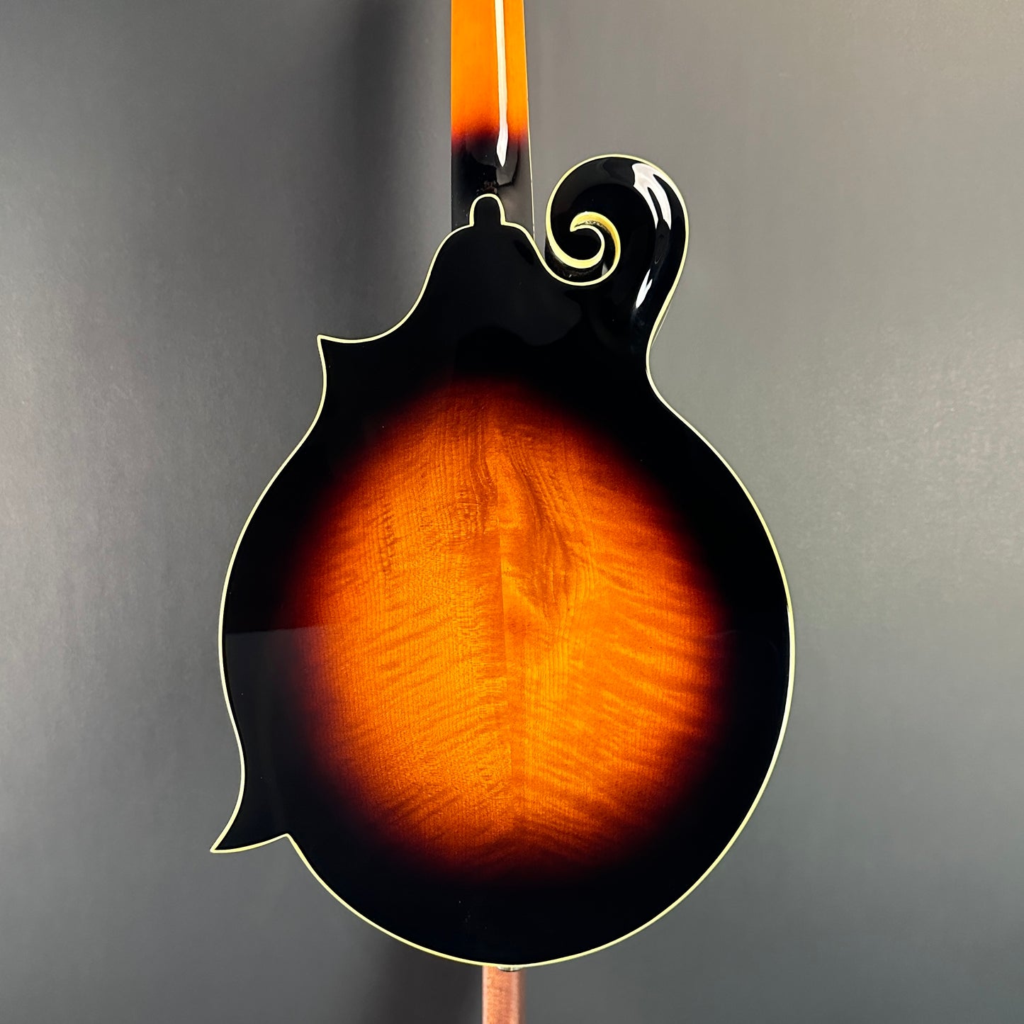 Back of Used The Loar LM-520-VS Mandolin.