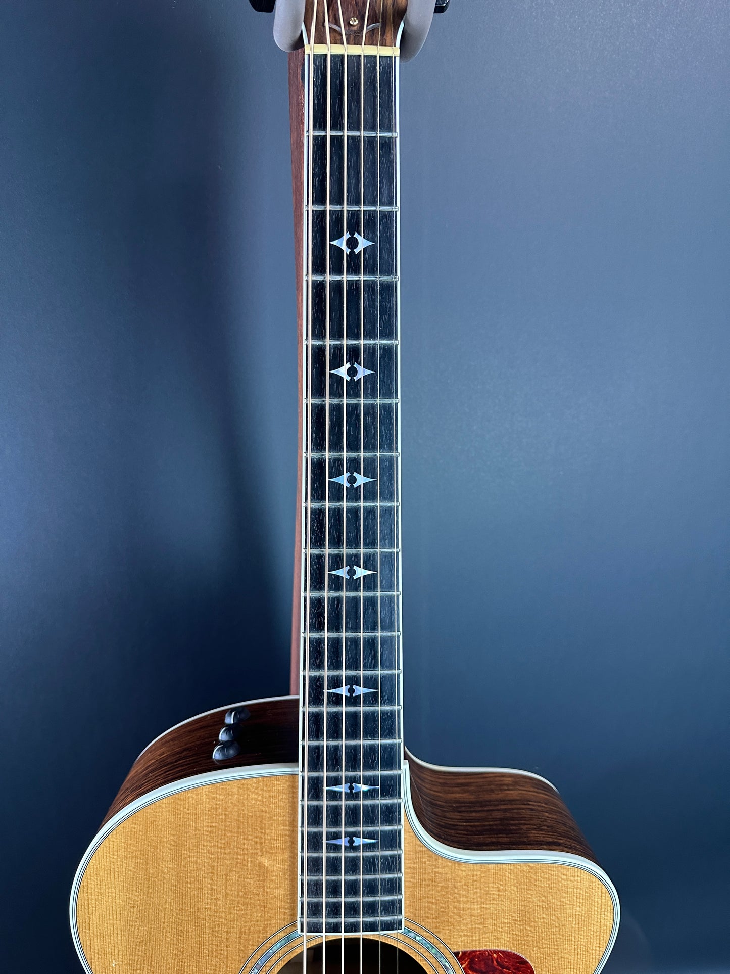 Fretboard of Used Taylor 815ce.