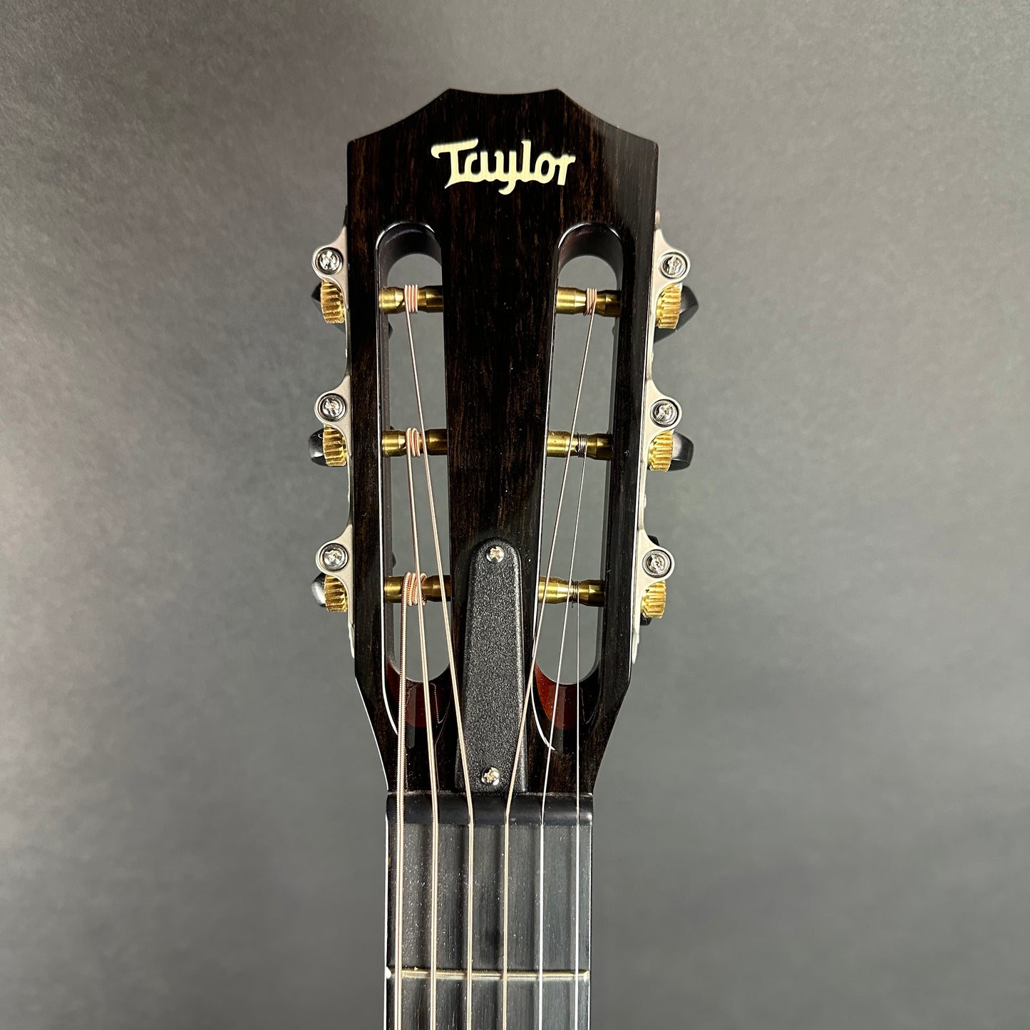 Front of headstock of Used Taylor 512ce Ltd Koa/Cedar 12 Fret.