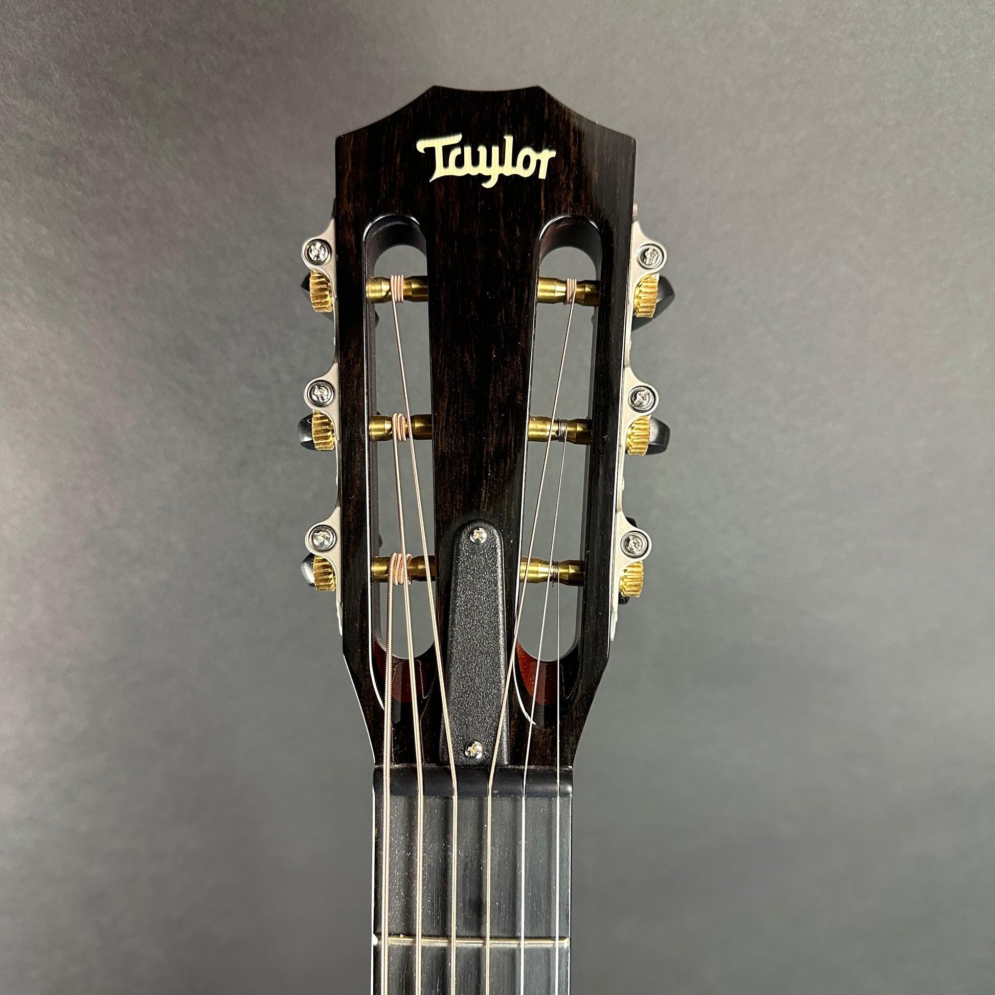 Front of headstock of Used Taylor 512ce Ltd Koa/Cedar 12 Fret.