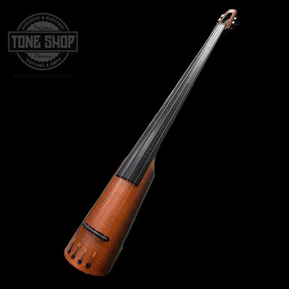 Full shot of Used NS Design NXTa Upright Bass.