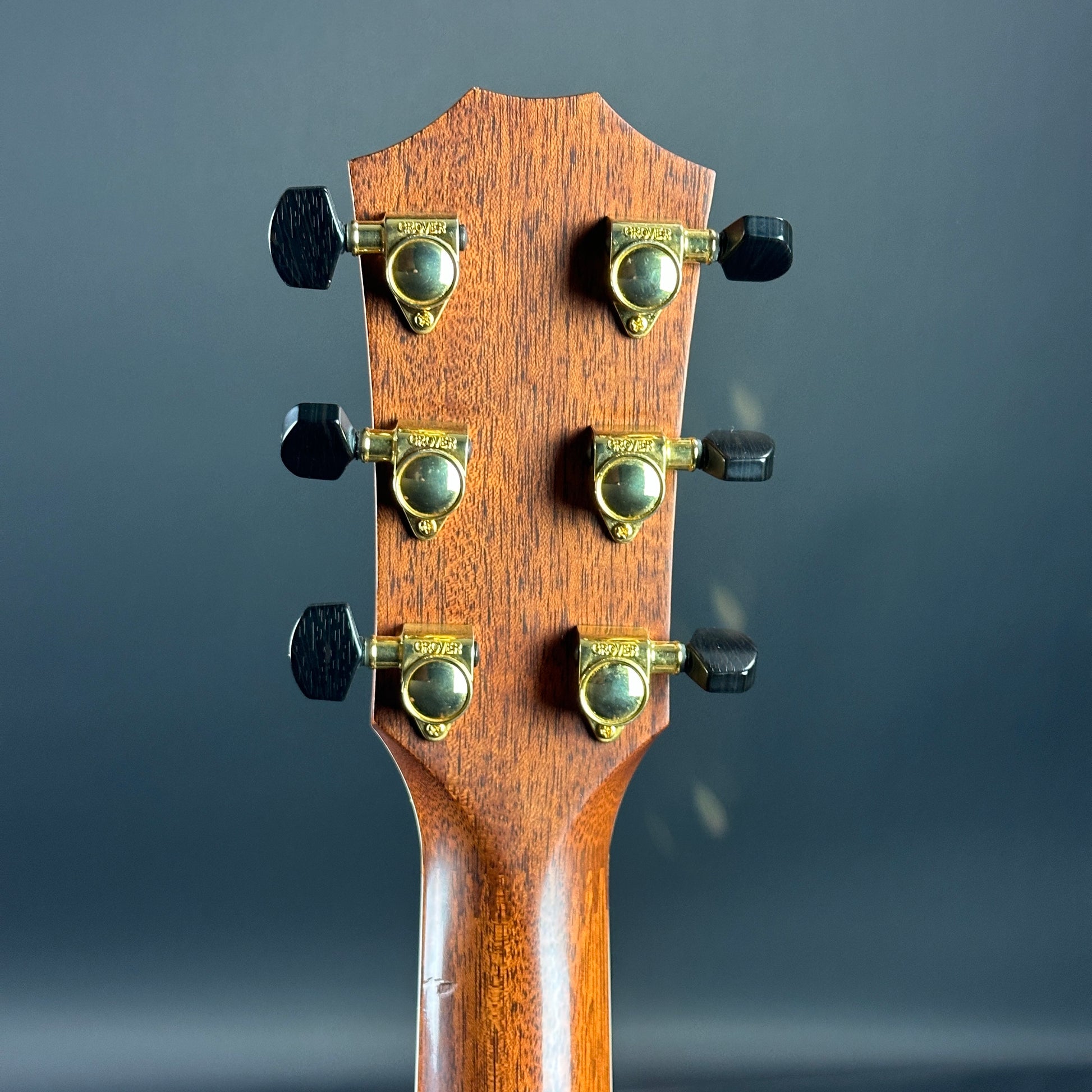 Back of headstock of Used Taylor 815ce.