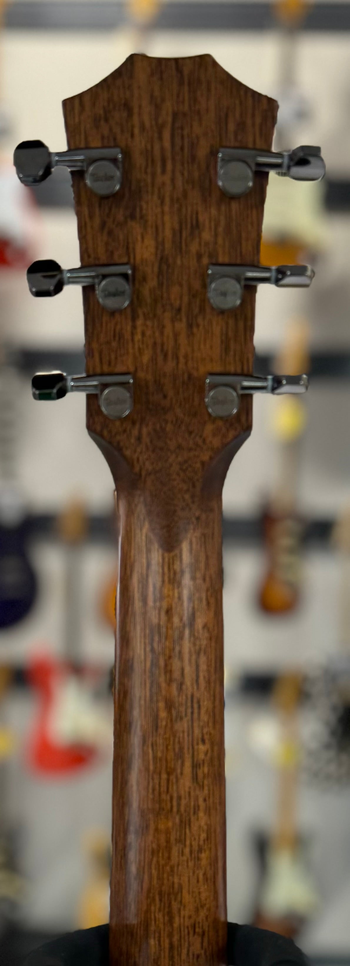 Back of neck of Used 2023 Taylor 811e Grand Theatre Natural w/case 