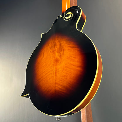 Back angle of Used The Loar LM-520-VS Mandolin.