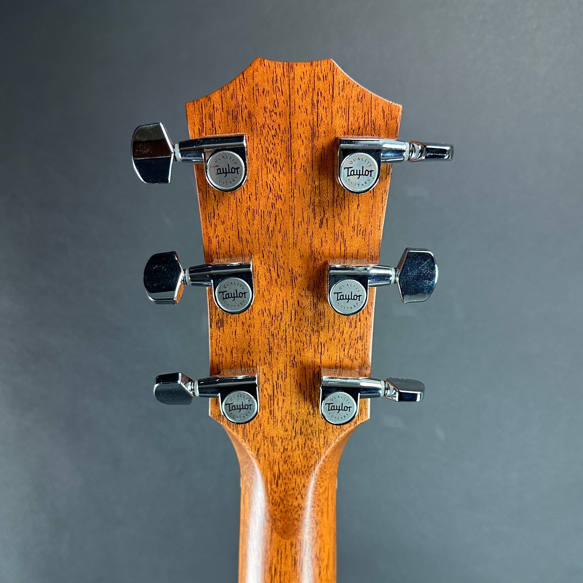 Back of headstock of Used Taylor 514ce Natural.