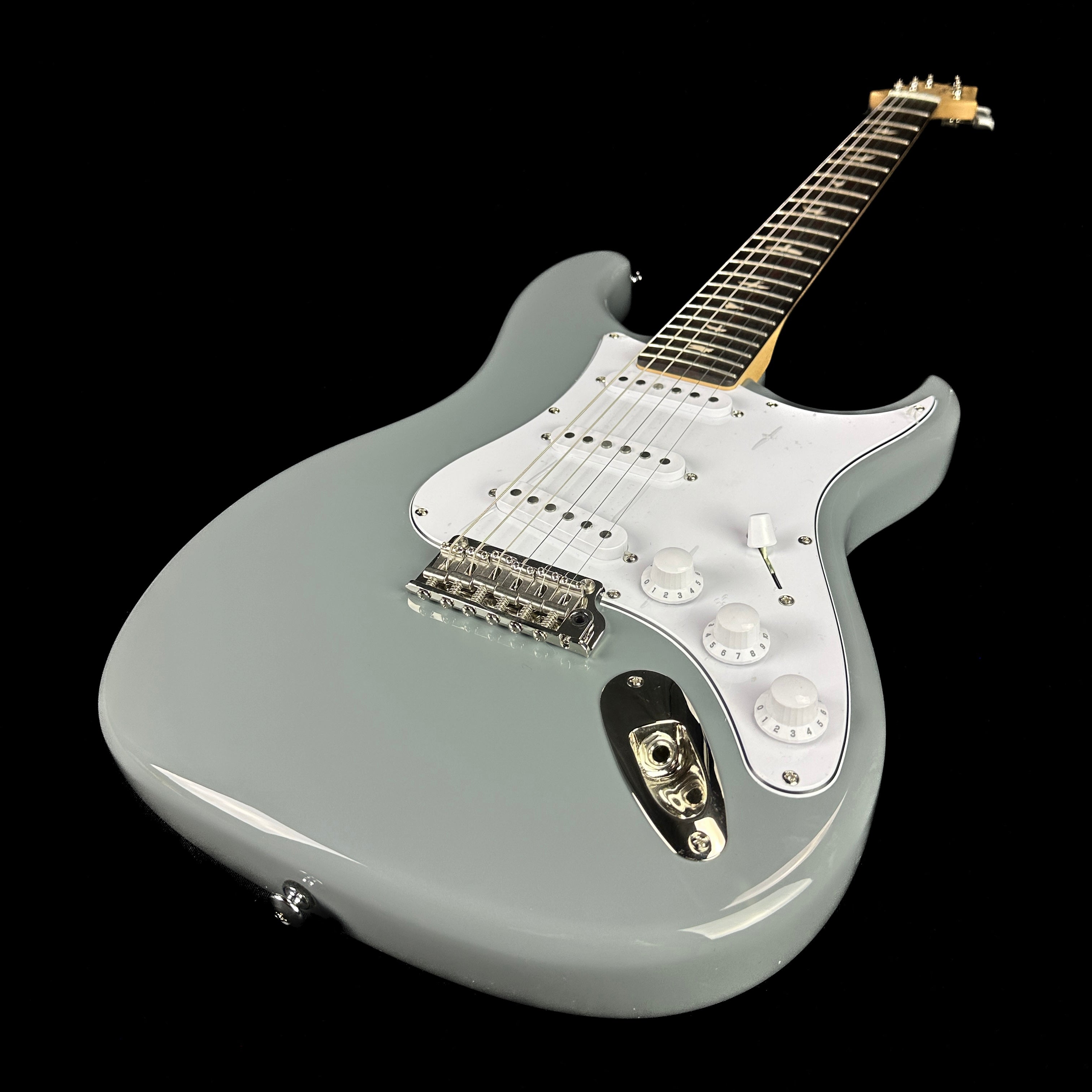 Prs silver deals sky case