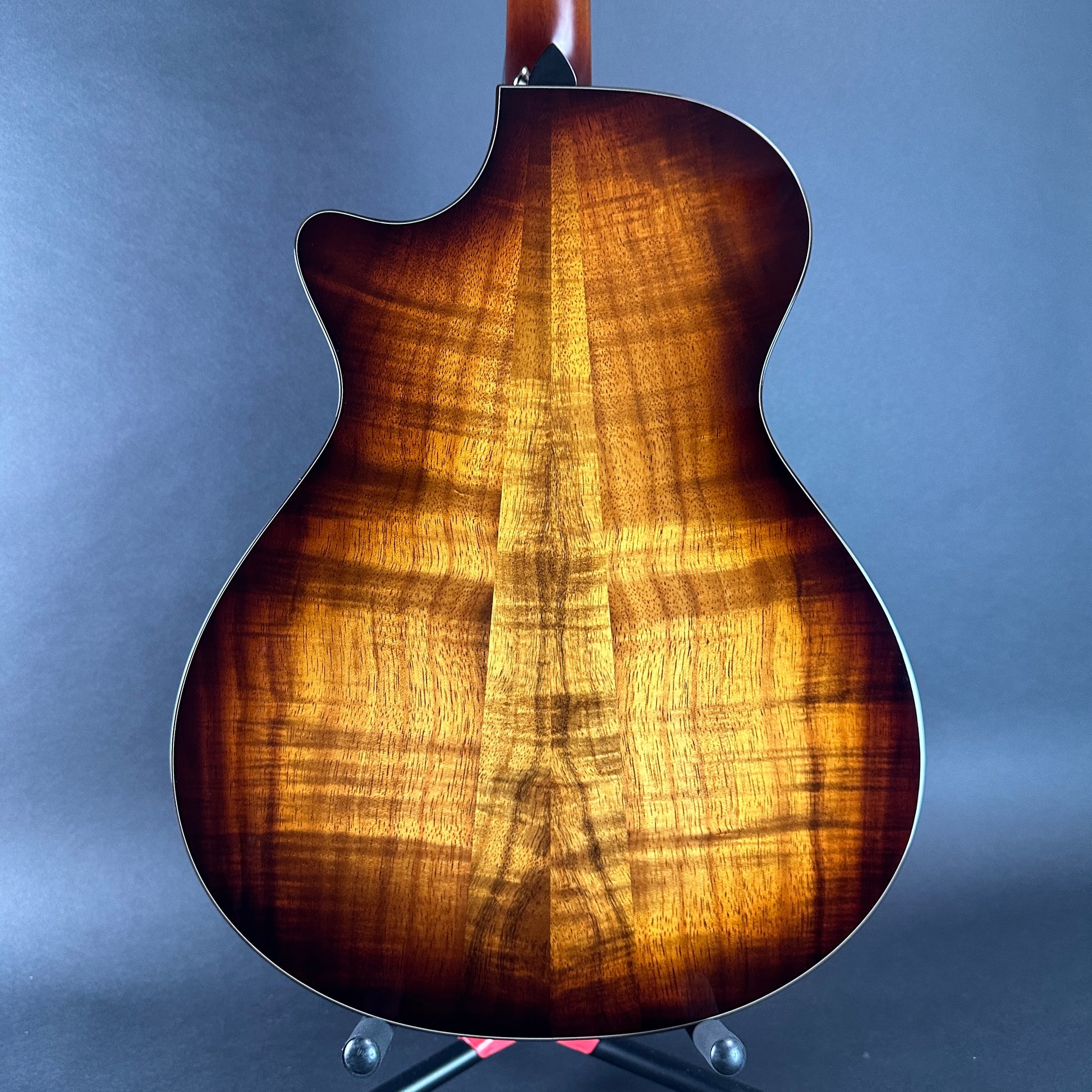 Back of Used Taylor 512ce Ltd Koa/Cedar 12 Fret.