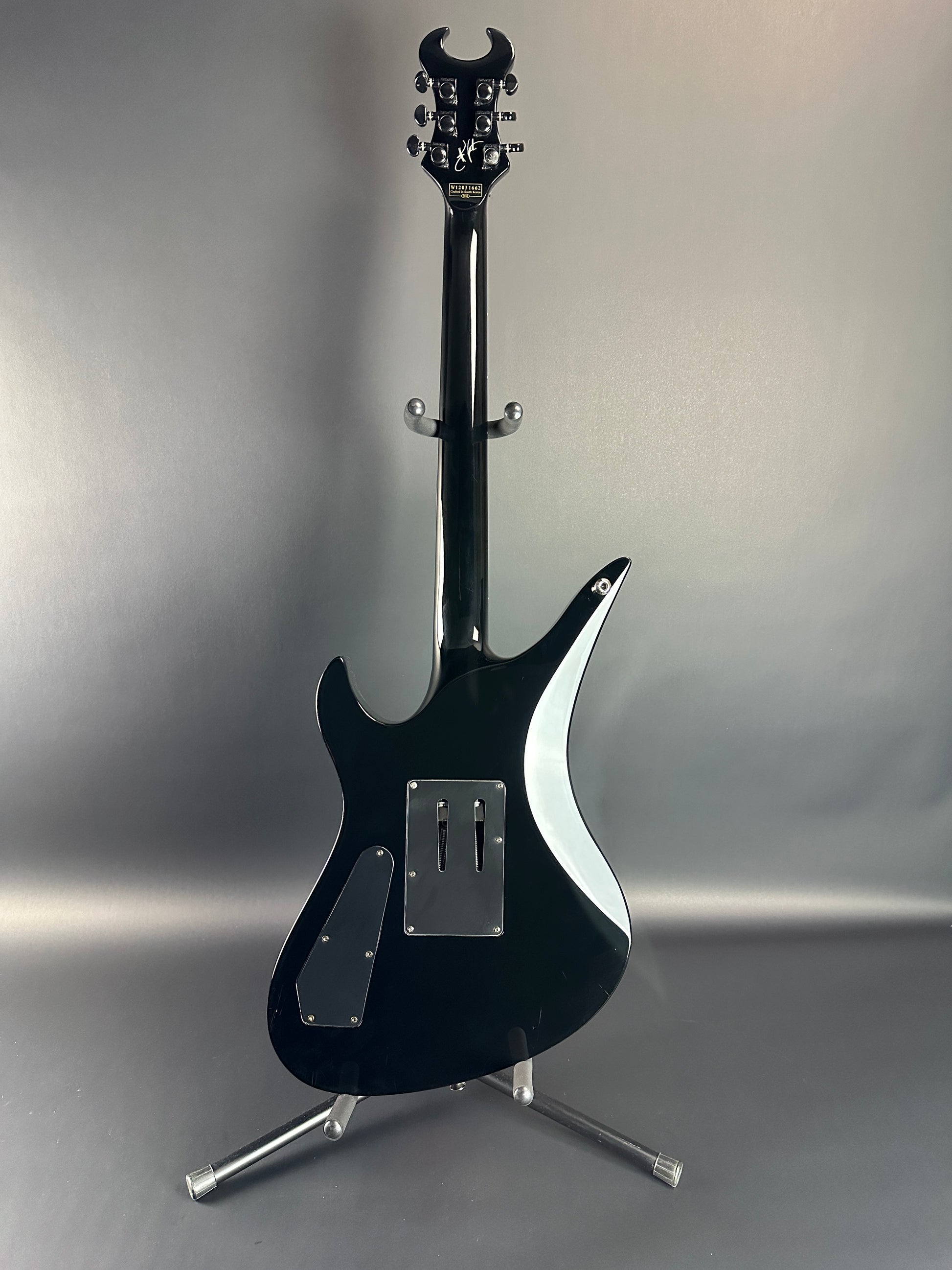 Full back of Used Schecter Synyster Gates.