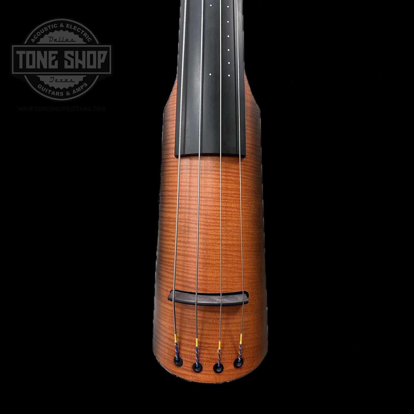 Front of body of Used NS Design NXTa Upright Bass.