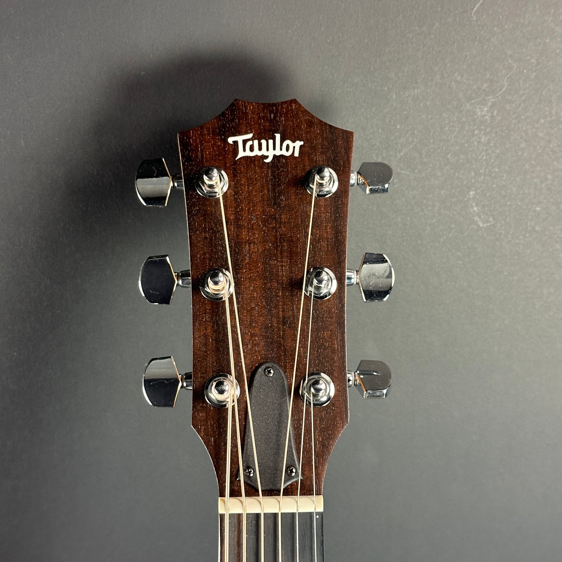 Front of headstock of Used Taylor Academy 22e Walnut.