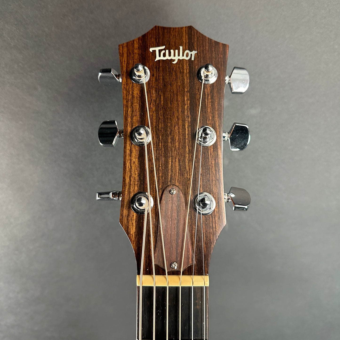 Front of headstock of Used Taylor 514ce Natural.