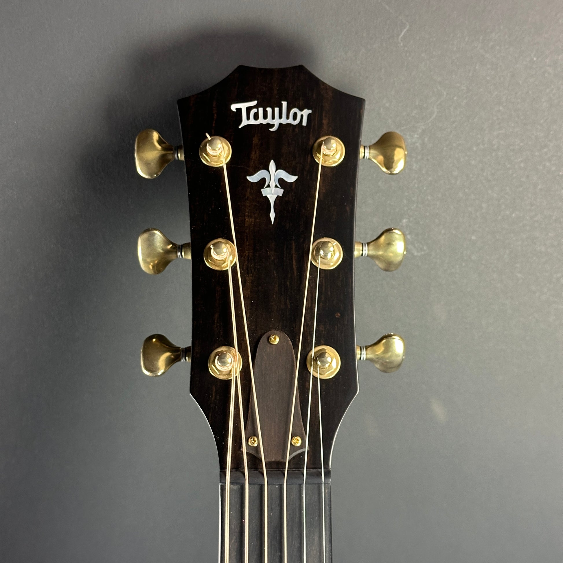 Front of headstock of Used Taylor 614ce Builder's Edition Natural.