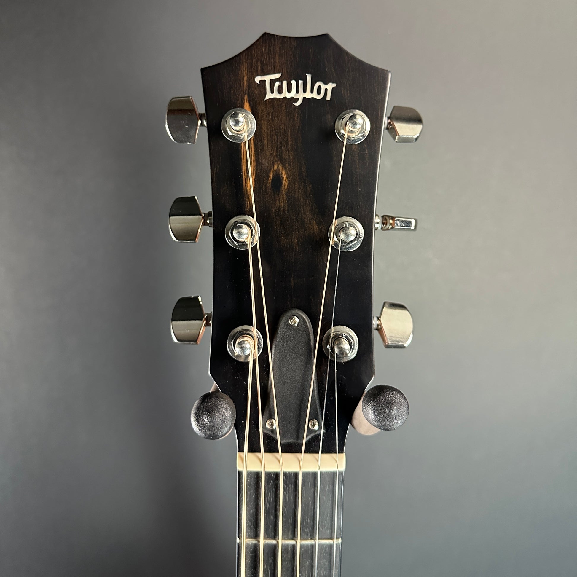 Front of headstock of Used Taylor 324e Shaded Edgeburst.