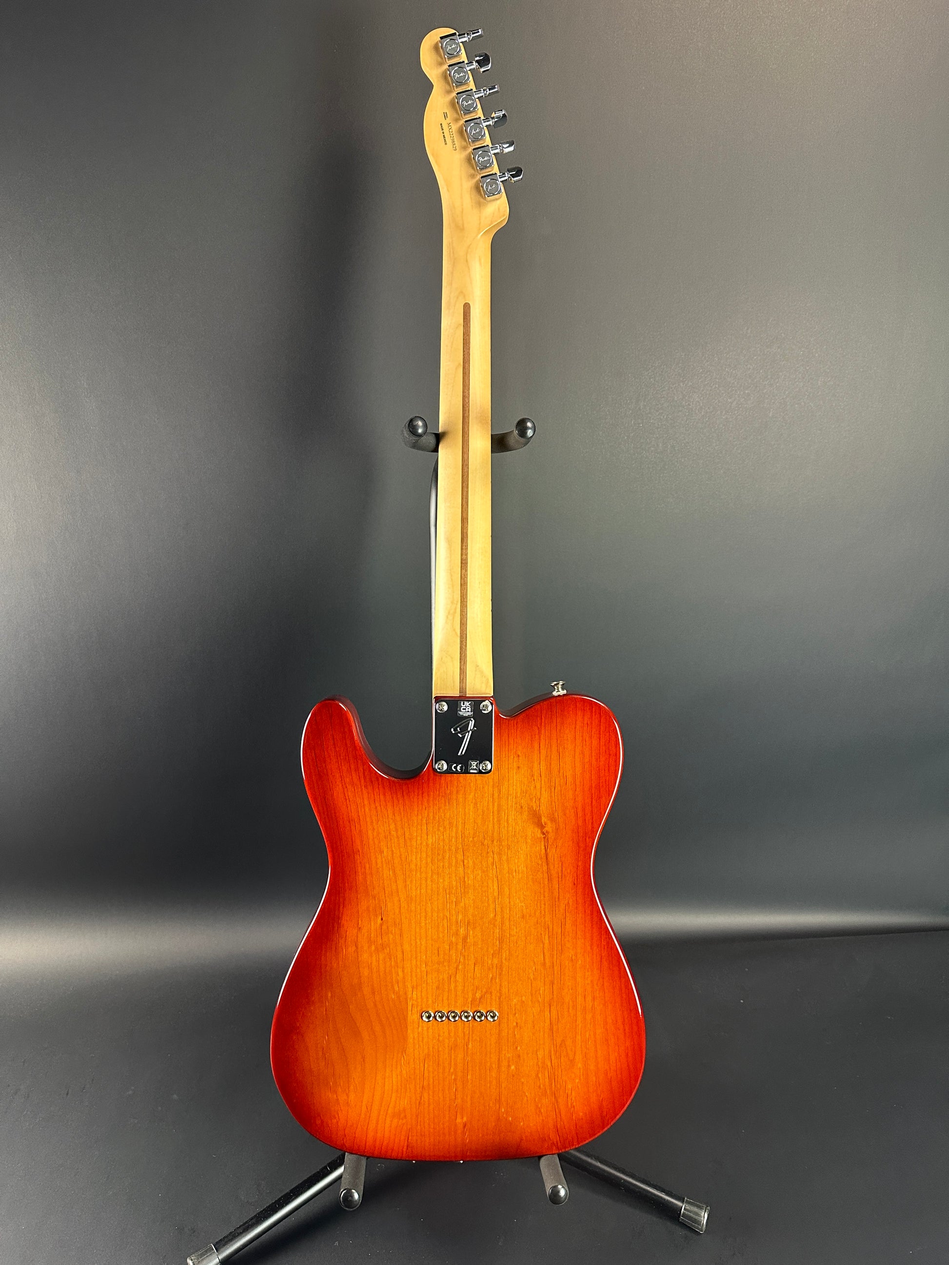 Full back of Used Fender Player Telecaster Plus Top Sienna Burst.