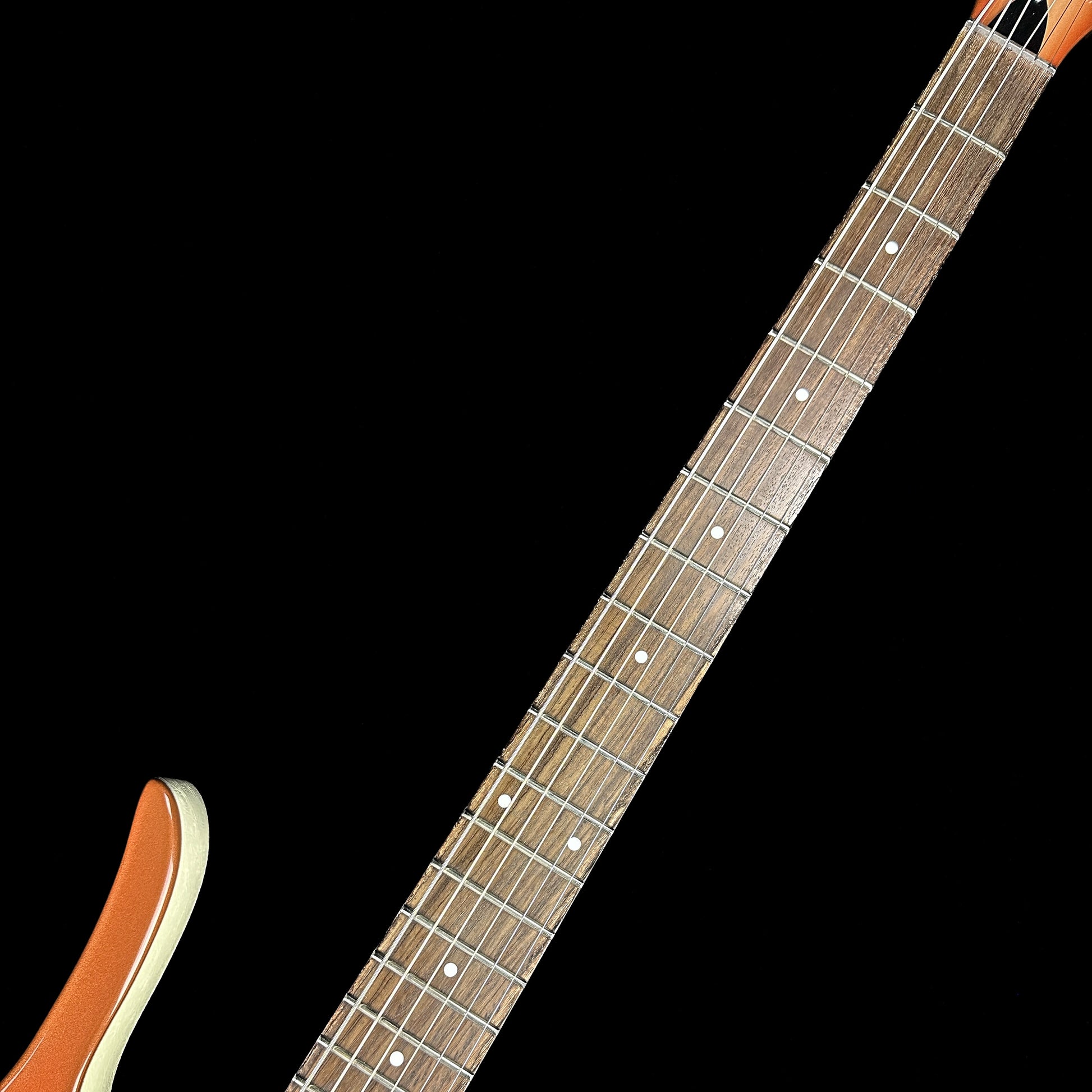 Fretboard of Used Danelectro Longhorn Baritone.