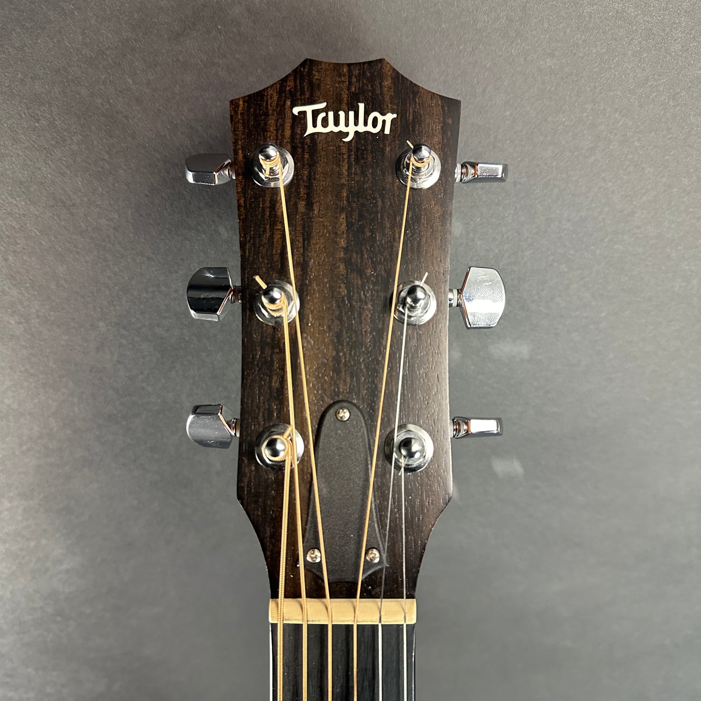 Front of headstock of Used Taylor 224ce-K DLX Shaded Edgeburst.