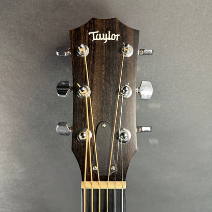 Front of headstock of Used Taylor 224ce-K DLX Shaded Edgeburst.