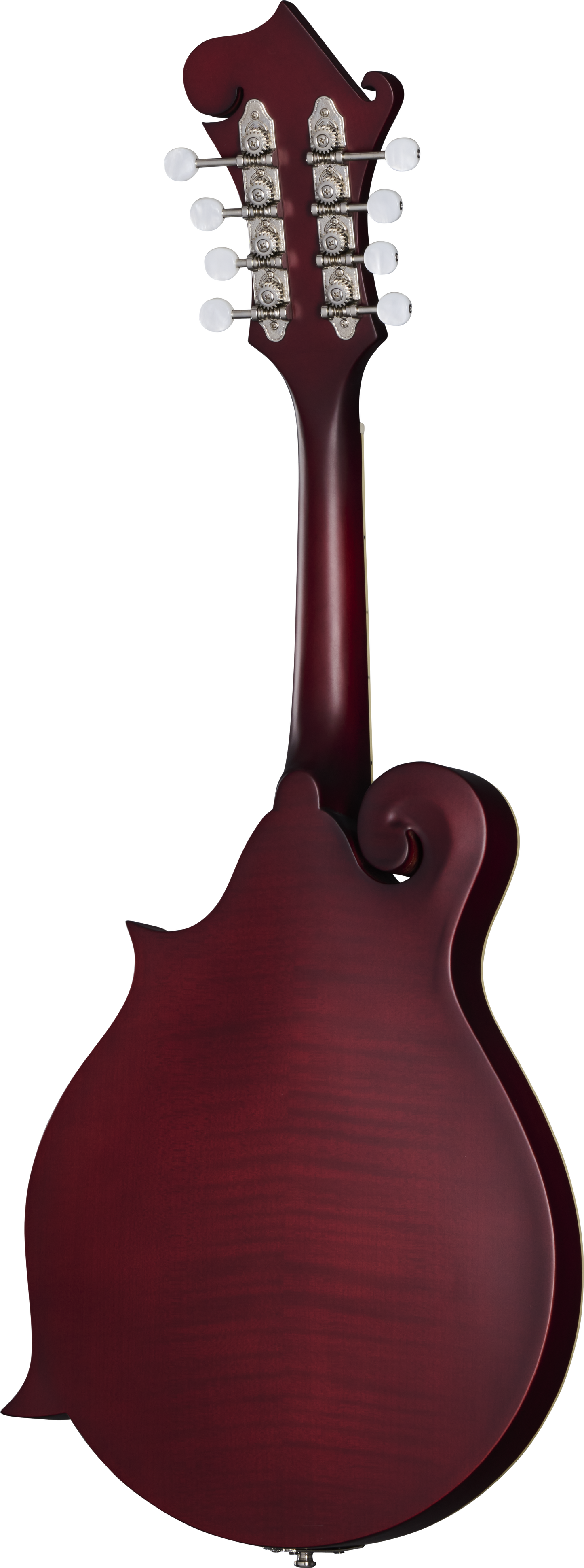 Back of Epiphone F-5 Studio Wine Red Satin.