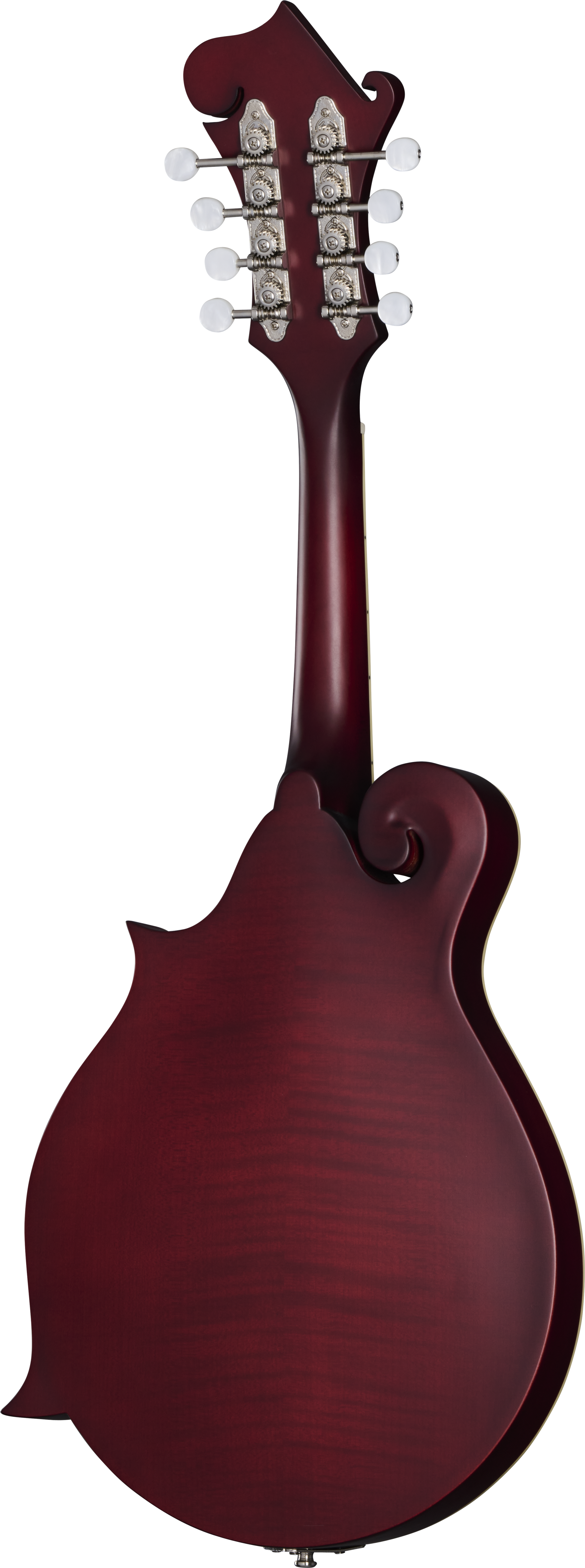 Back of Epiphone F-5 Studio Wine Red Satin.