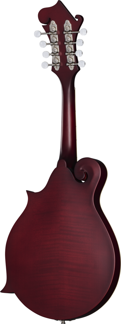 Back of Epiphone F-5 Studio Wine Red Satin.