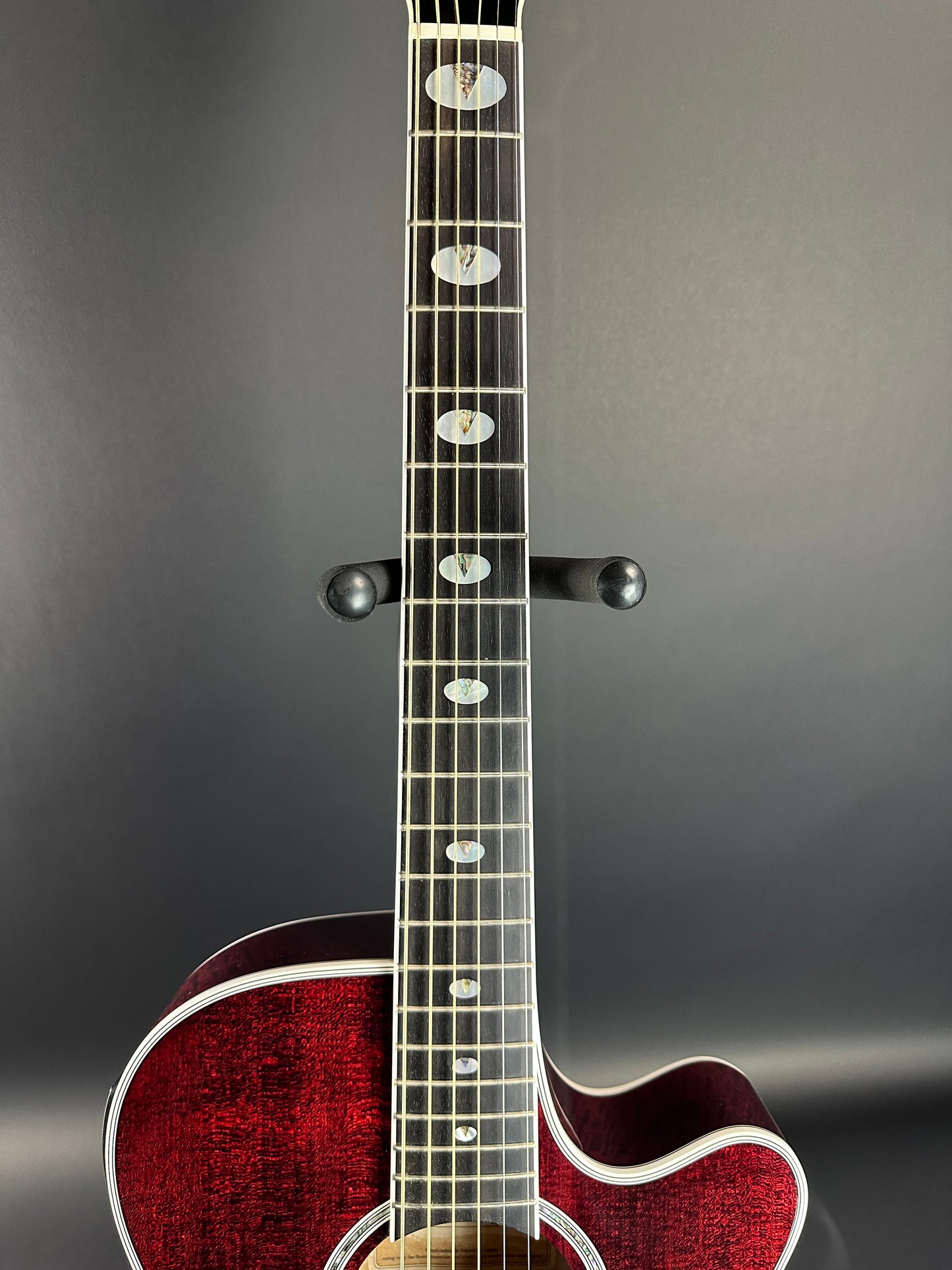 Fretboard of Used Takamine TSP158C Red.