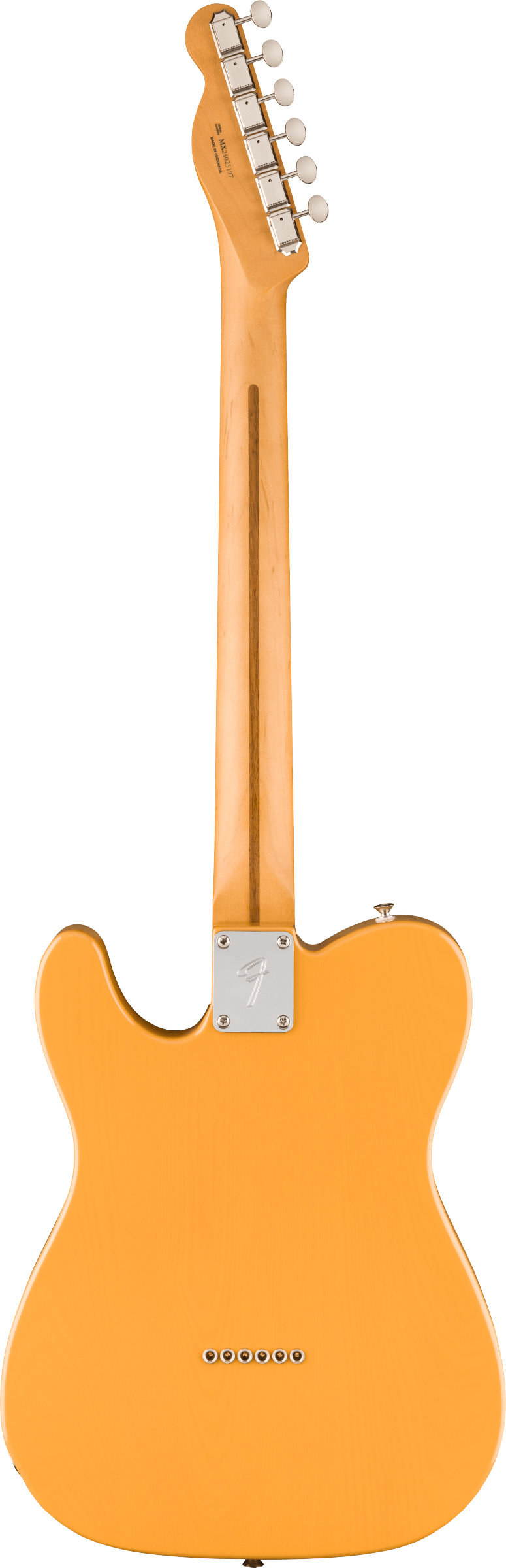 Back of Fender Player II Telecaster Maple Fingerboard Butterscotch Blonde.