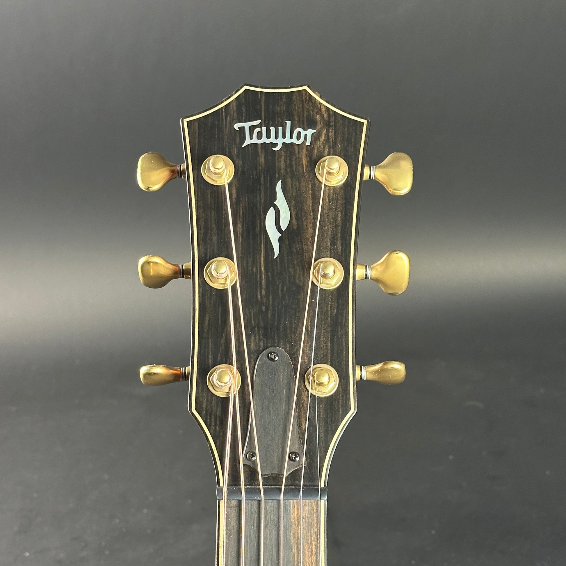 Headstock of Used Taylor 814ce Builder's Edition.