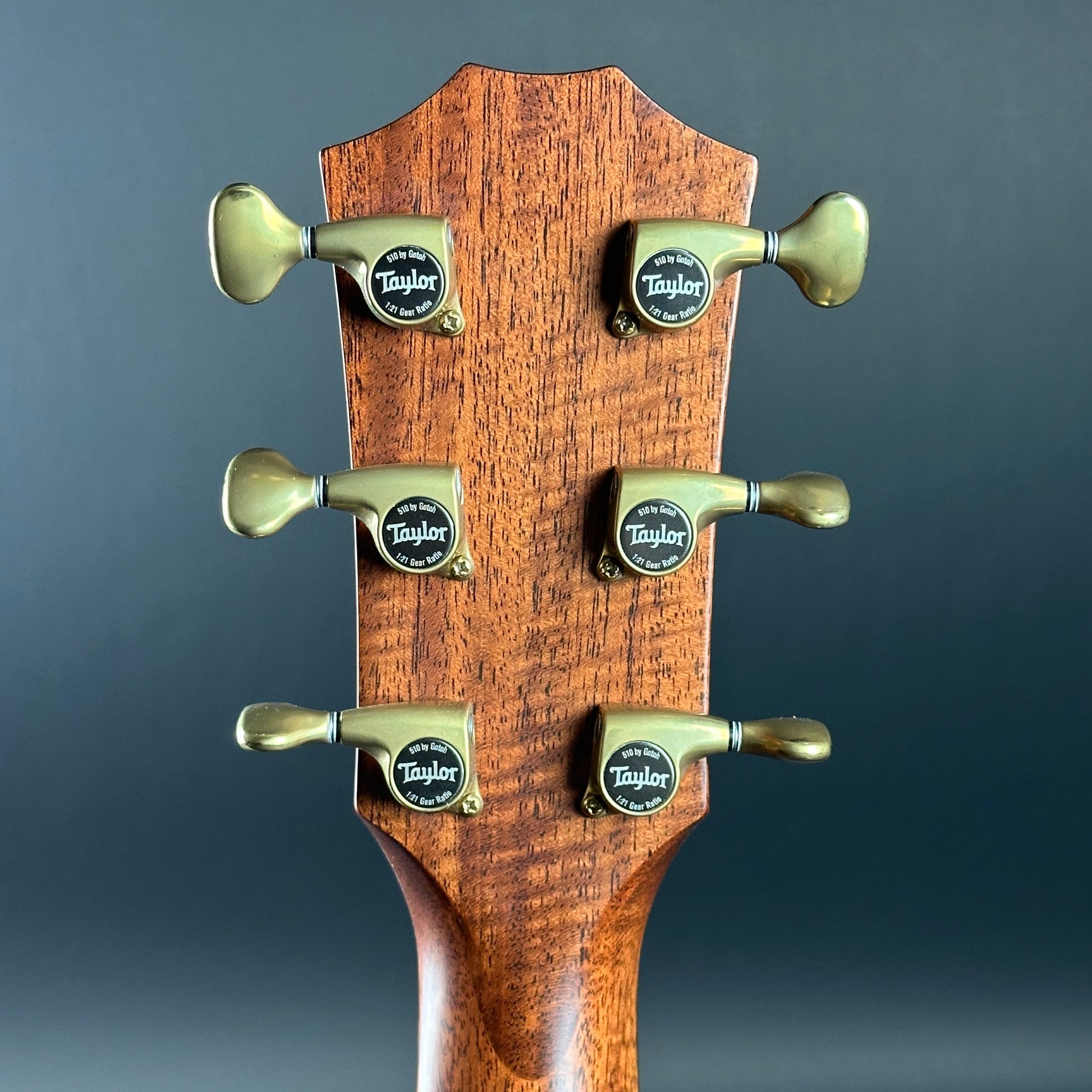 Back of headstock of Used Taylor 814ce Builder's Edition.